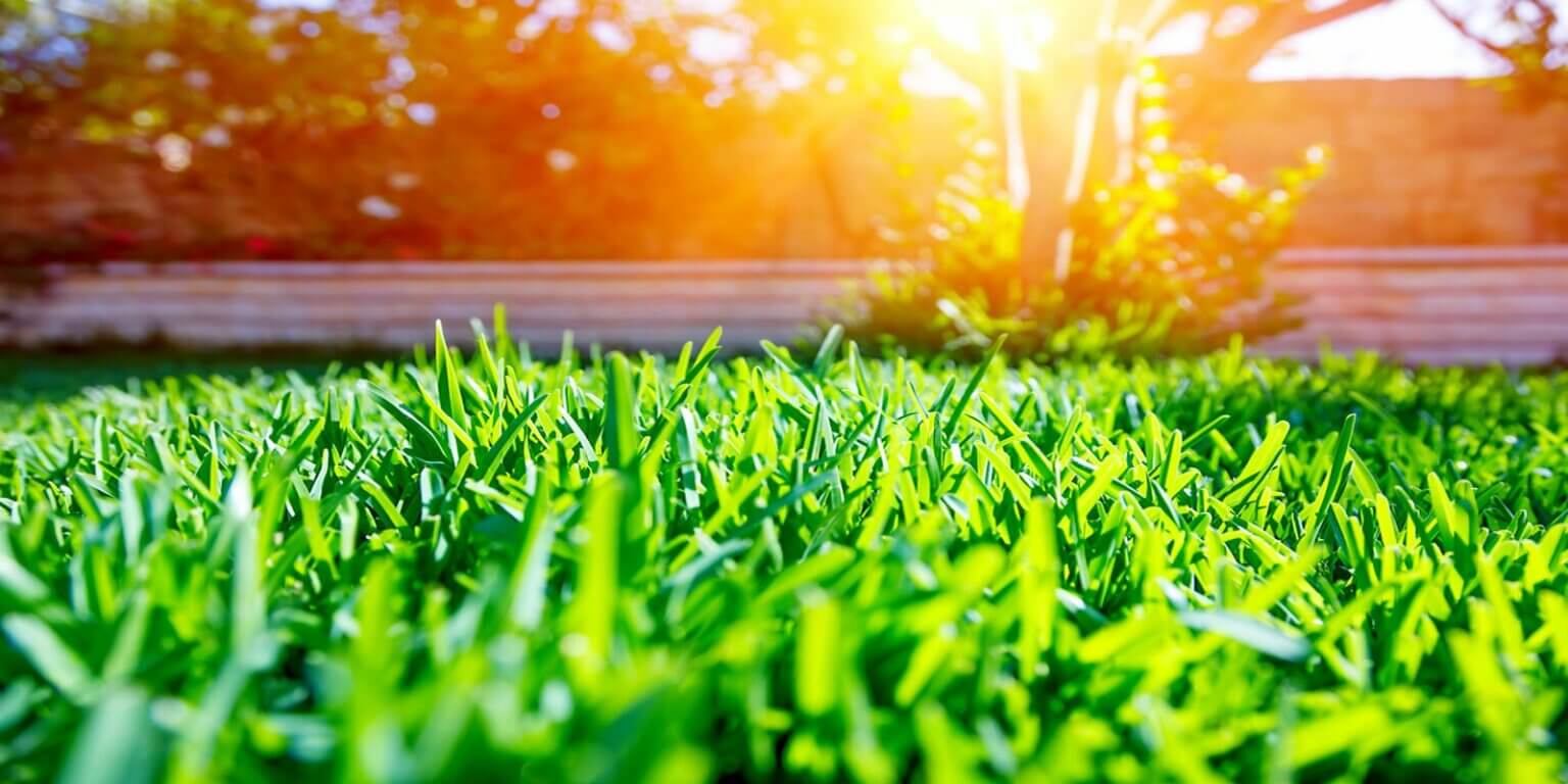 Tips For Choosing Top Pest Control Products And Companies Summit 